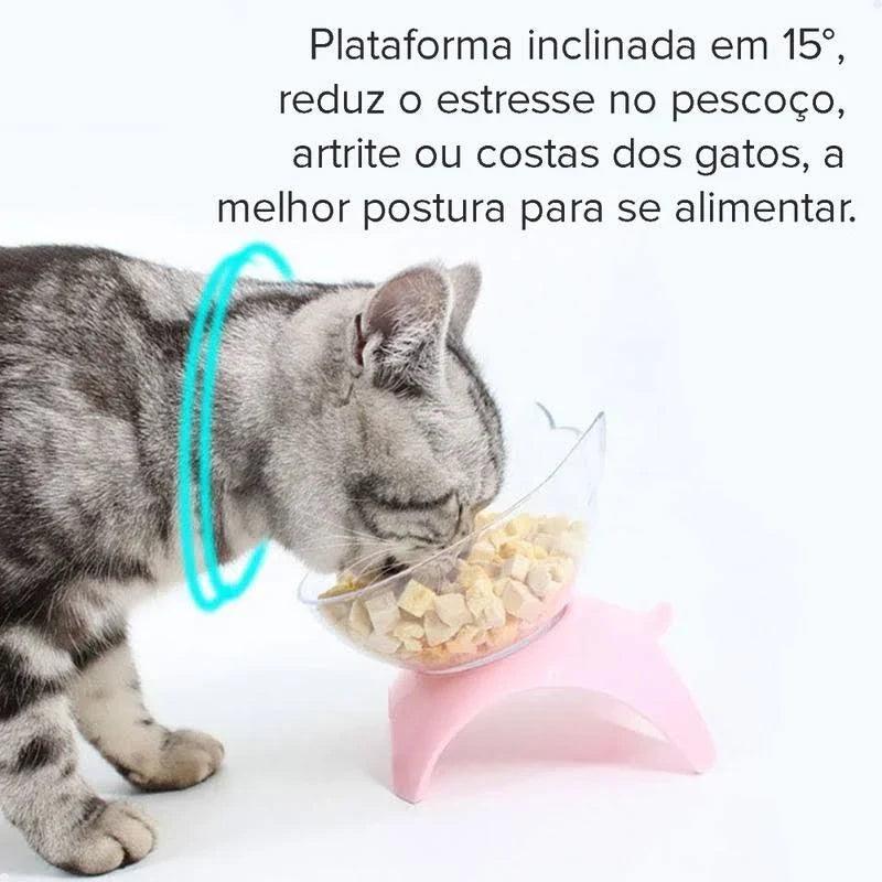 Comedouro Bebedouro para Gatos Ergonômico - lion express